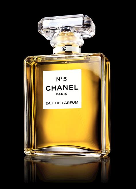 chanel n 5 the one that i want 2014|Chanel Nº 5: The One That I Want (A Mini.